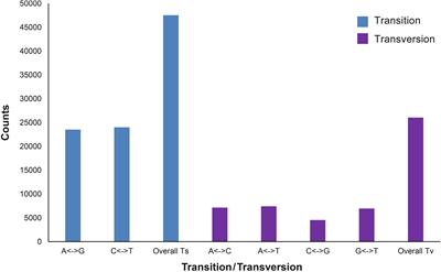 Genome-Wide Discovery of Single-Nucleotide Polymorphisms and Their Application in Population Genetic Studies in the Endangered Japanese Eel (Anguilla japonica)